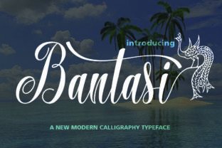 Bantasi Script Font for Digital Marketing