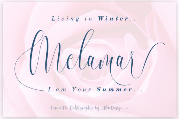 How Melamar Helped My Bakery Look More Professional