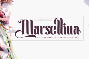 Marsellina: A Font That Adds Personality to Your Brand